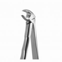 TOOTH FORCEPS BLADE BEAKS N. 1