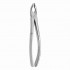 TOOTH FORCEPS N.181