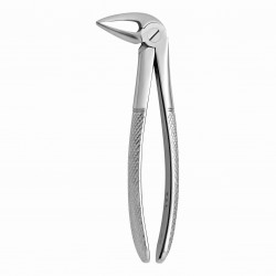 TOOTH FORCEPS N. 33-L