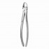 TOOTH FORCEPS N. 55