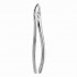 TOOTH FORCEPS N.  7