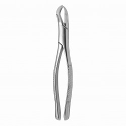 TOOTH FORCEPS AMERICAN N. 88-R
