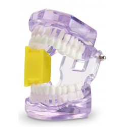 MOUTH PROPS SILICON ORANGE